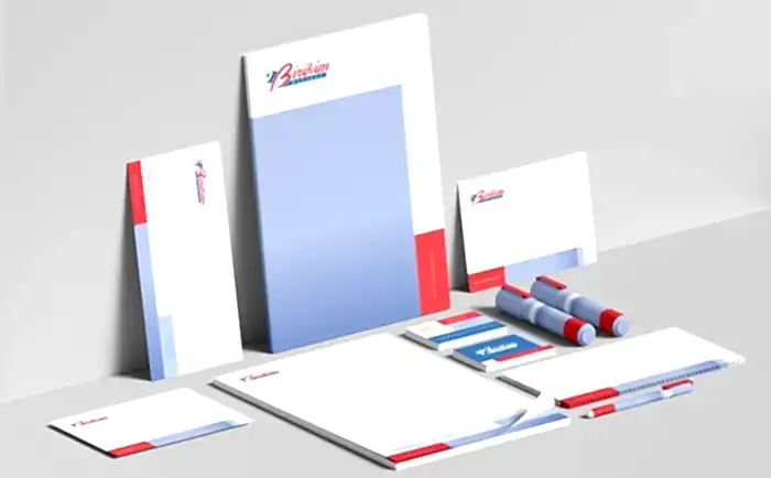 Birikim Pilleri Kurumsal Kimlik Kılavuz Tasarım