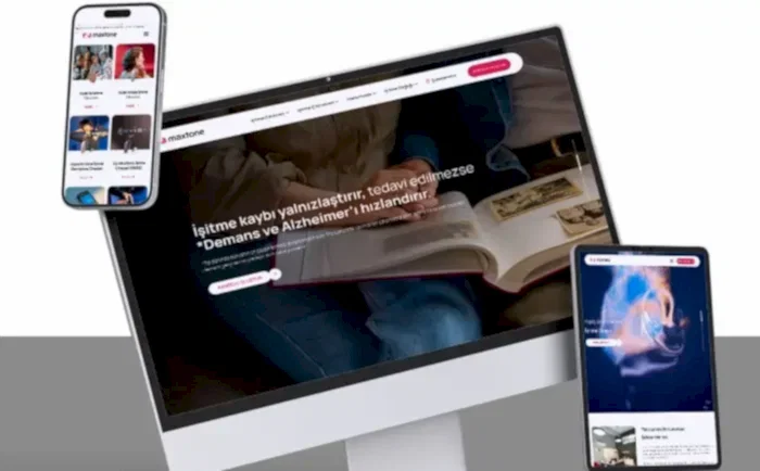 maxtone seo yönetim 