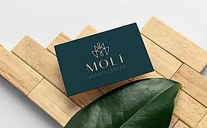Moli Logo Tasarım Ajansı 