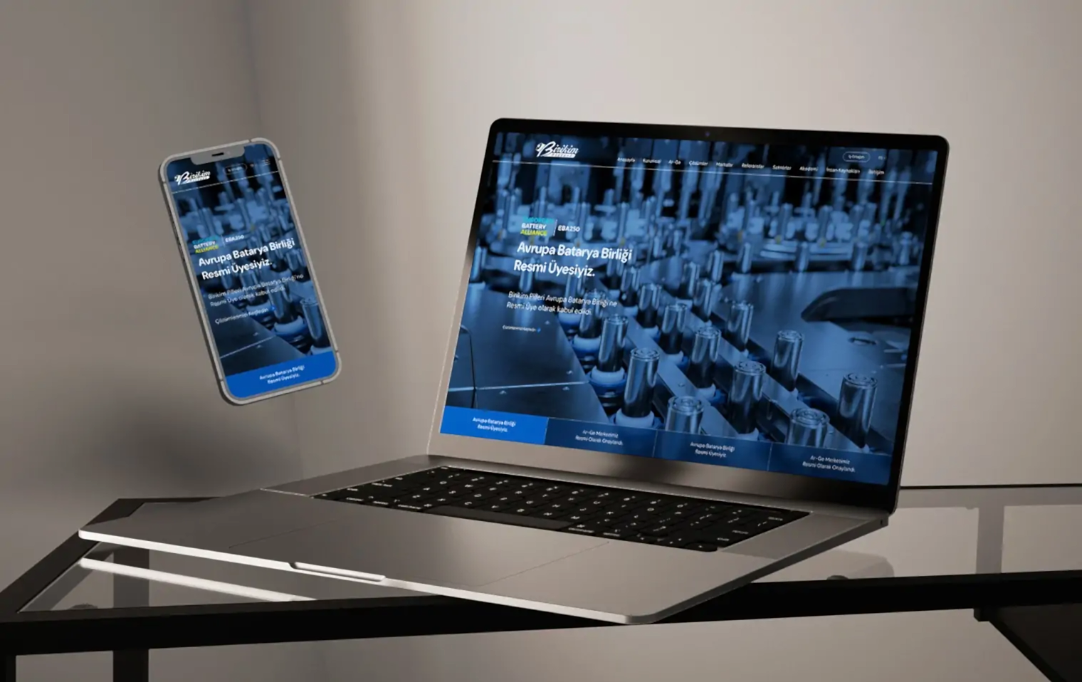 Birikim Pilleri Kurumsal Web Tasarım