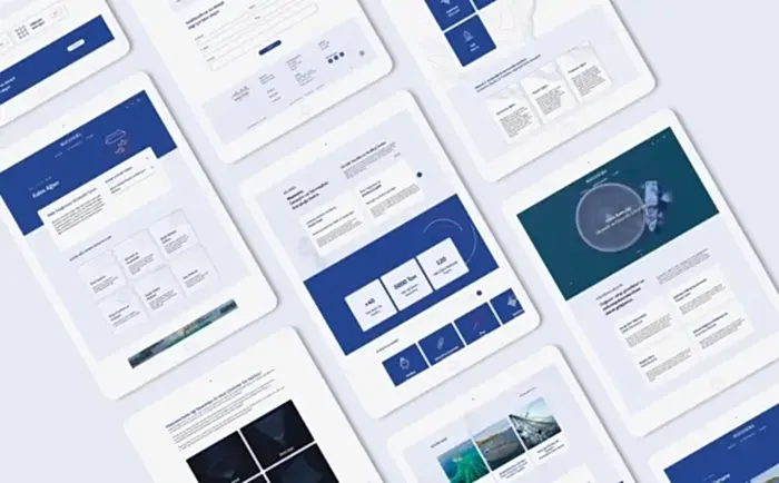 mayasera web tasarım yazılım 