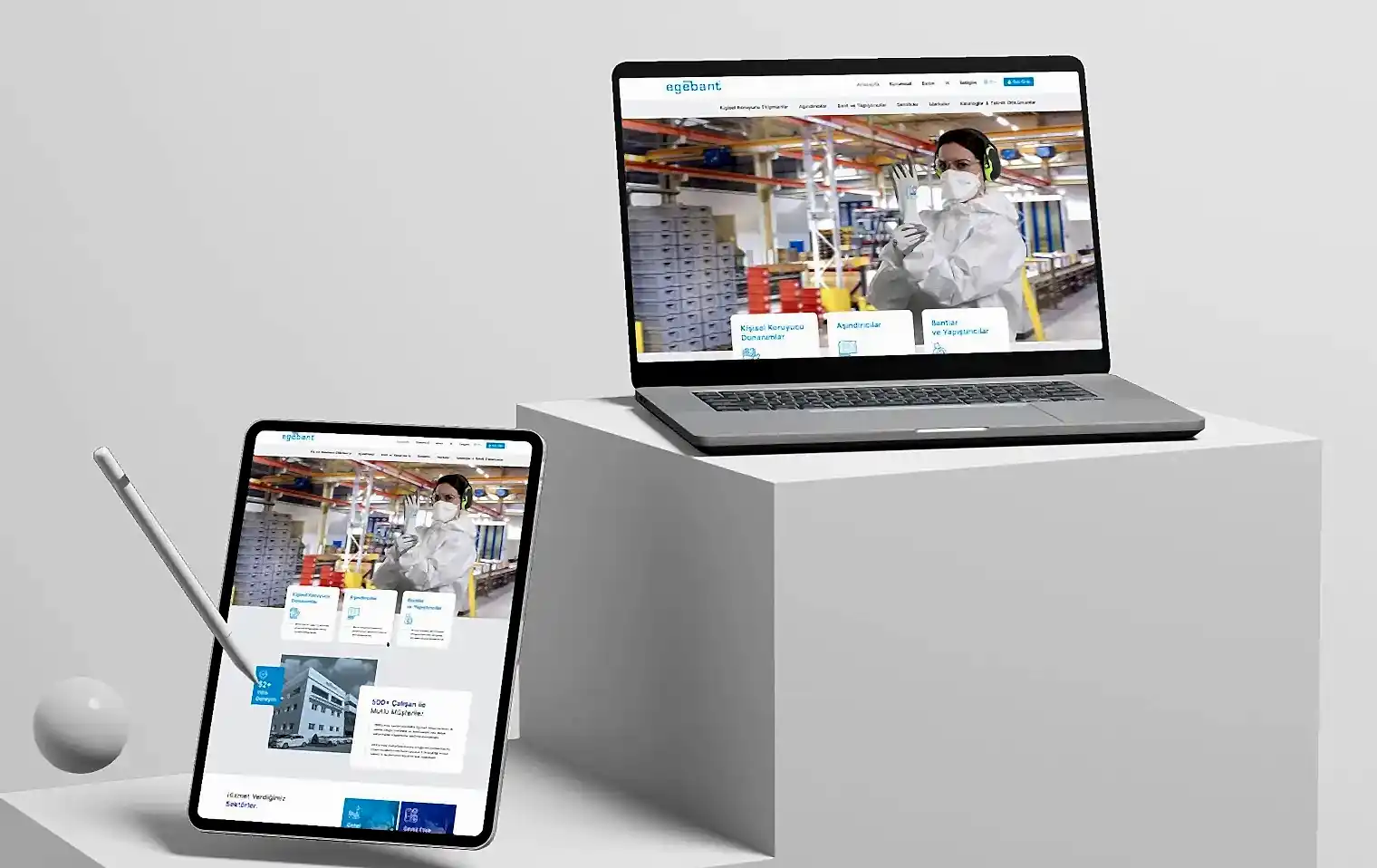 Egebant Web Tasarım